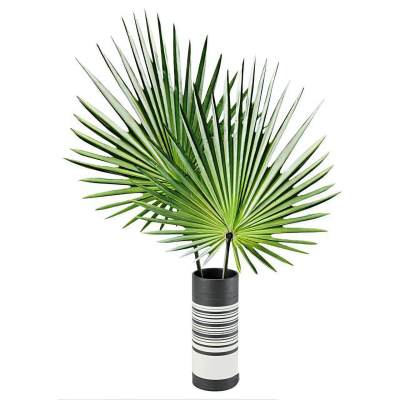 花瓶花艺组合 花瓶植物 绿植